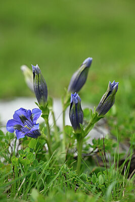 BUITEN BEELD Foto: 444786