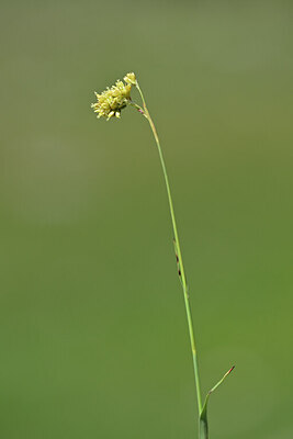 BUITEN BEELD Foto: 444788