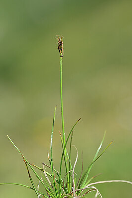 BUITEN BEELD Foto: 444799