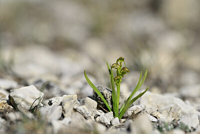 BUITEN BEELD Foto: 444801