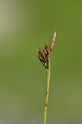 BUITEN BEELD Foto: 444803