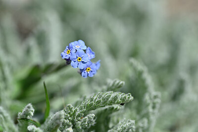 BUITEN BEELD Foto: 444807