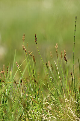 BUITEN BEELD Foto: 444808