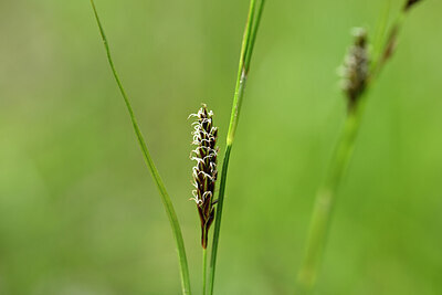 BUITEN BEELD Foto: 444827