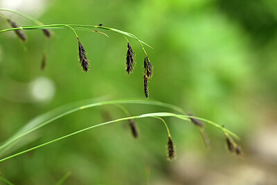 BUITEN BEELD Foto: 444842