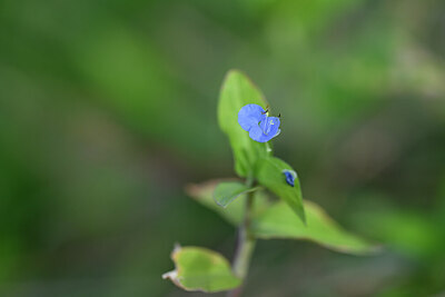 BUITEN BEELD Foto: 444851