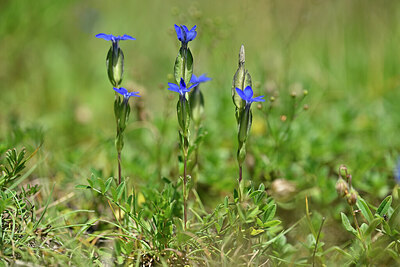 BUITEN BEELD Foto: 444853