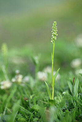 BUITEN BEELD Foto: 444857