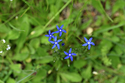 BUITEN BEELD Foto: 444869