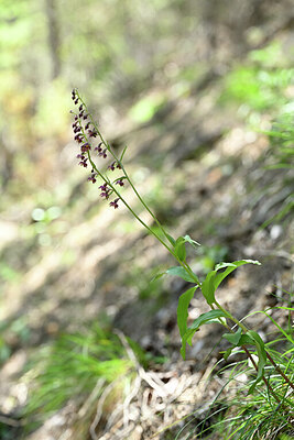 BUITEN BEELD Foto: 444886