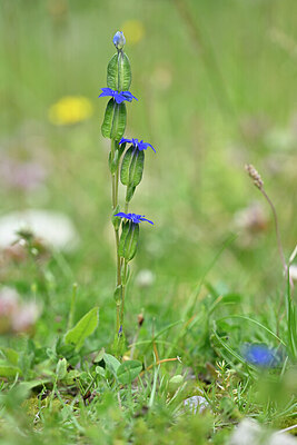 BUITEN BEELD Foto: 444890