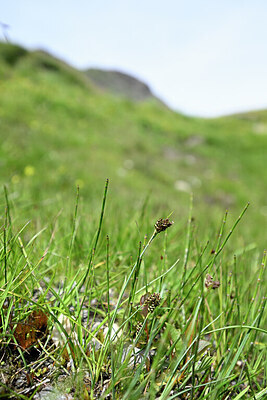 BUITEN BEELD Foto: 444895