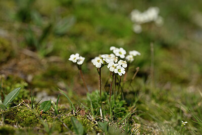 BUITEN BEELD Foto: 444896