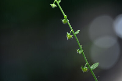 BUITEN BEELD Foto: 444905