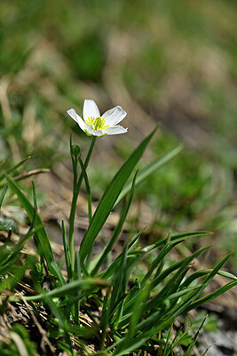 BUITEN BEELD Foto: 444916
