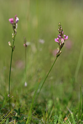 BUITEN BEELD Foto: 444925