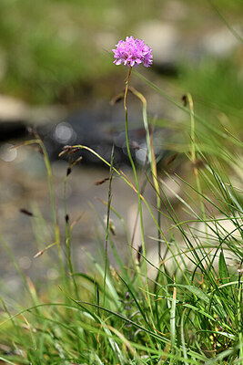 BUITEN BEELD Foto: 444926