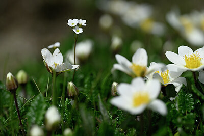 BUITEN BEELD Foto: 444930