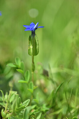 BUITEN BEELD Foto: 444938