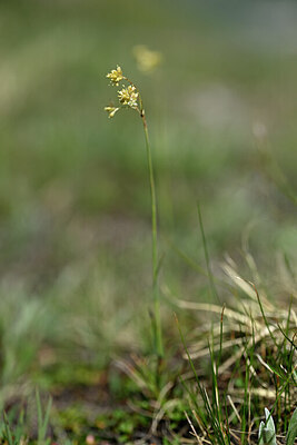BUITEN BEELD Foto: 444951