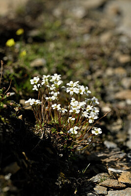 BUITEN BEELD Foto: 444954
