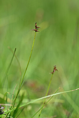 BUITEN BEELD Foto: 444956