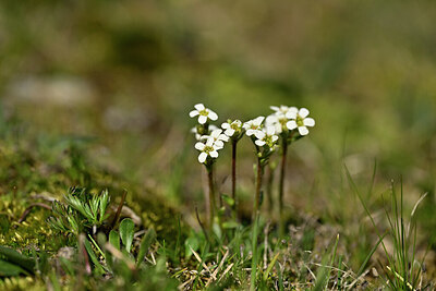 BUITEN BEELD Foto: 444966