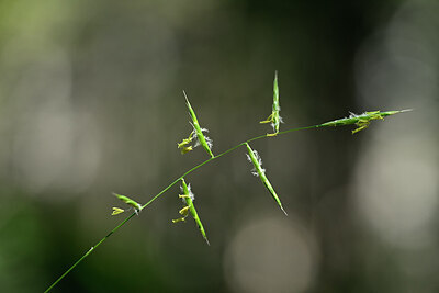 BUITEN BEELD Foto: 444969