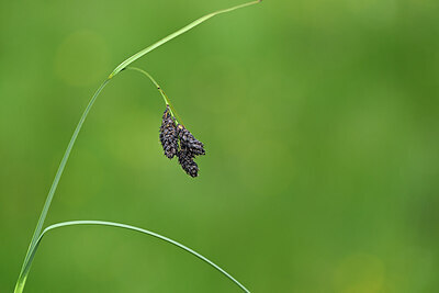 BUITEN BEELD Foto: 444972