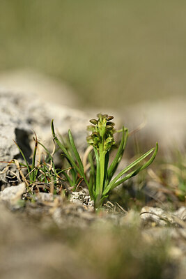 BUITEN BEELD Foto: 444977