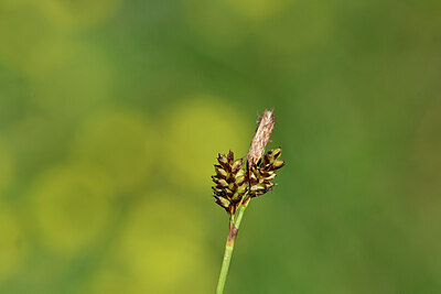 BUITEN BEELD Foto: 444978