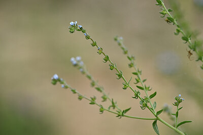 BUITEN BEELD Foto: 444983