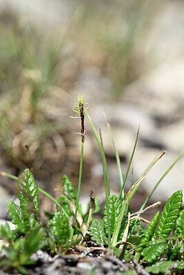 BUITEN BEELD Foto: 444990