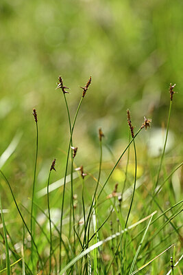 BUITEN BEELD Foto: 444991