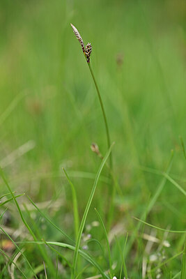 BUITEN BEELD Foto: 444994