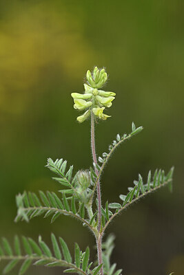 BUITEN BEELD Foto: 444995