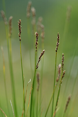 BUITEN BEELD Foto: 444996
