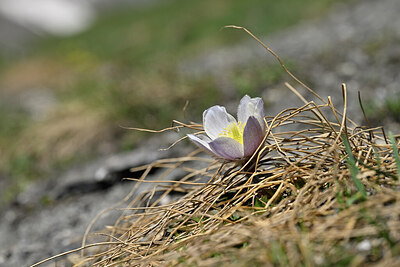 BUITEN BEELD Foto: 444999