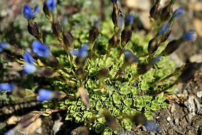 BUITEN BEELD Foto: 445004