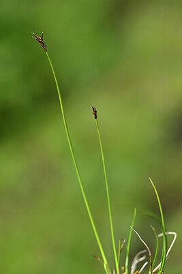 BUITEN BEELD Foto: 445006