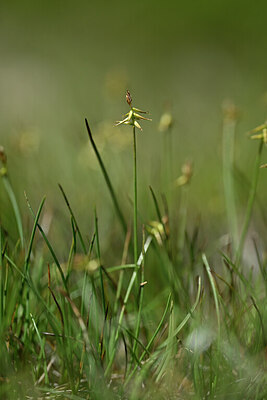 BUITEN BEELD Foto: 445021