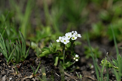 BUITEN BEELD Foto: 445032