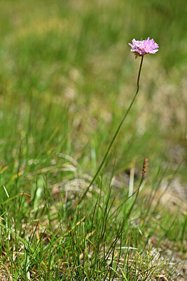 BUITEN BEELD Foto: 445046