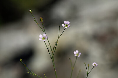 BUITEN BEELD Foto: 445047
