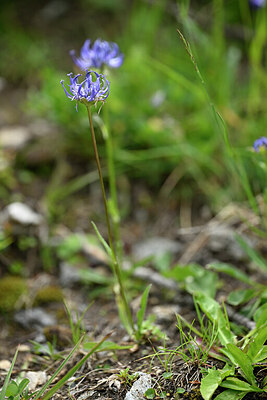 BUITEN BEELD Foto: 445054