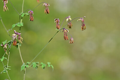 BUITEN BEELD Foto: 445057