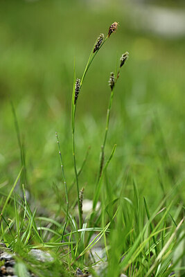 BUITEN BEELD Foto: 445058