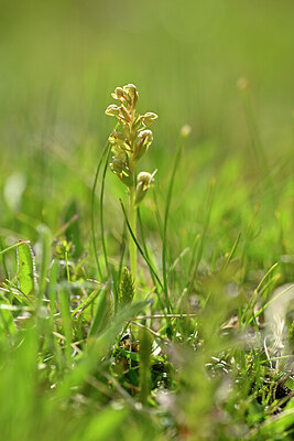 BUITEN BEELD Foto: 445064