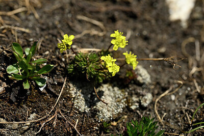 BUITEN BEELD Foto: 445066