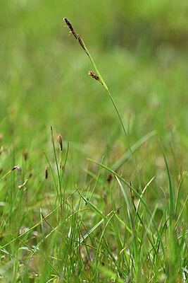 BUITEN BEELD Foto: 445072